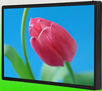 Киоск информационный настенный сенсорный 27" (вариант 1) - fgospostavki.ru - Владимир