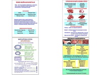 Плакаты ПРОФТЕХ "Классификации и виды мяса" (4 пл, винил, 70х100) - fgospostavki.ru - Владимир