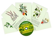 Интерактивный наглядный комплекс "Гербарий "Для начальной школы" - fgospostavki.ru - Владимир