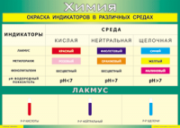 Таблица "Окраска индикаторов в различных средах" (100х140 сантиметров, винил) - fgospostavki.ru - Владимир