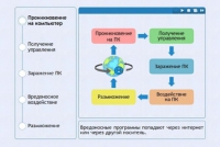 Интерактивные курсы. Информатика 10 класс . Базовый. - fgospostavki.ru - Владимир