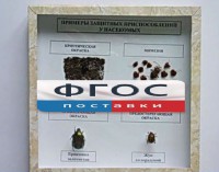 Коллекция энтомологическая "Примеры защитных приспособлений у насекомых" - fgospostavki.ru - Владимир