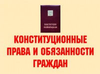 Комплект плакатов "Конституционные права и обязанности граждан" - fgospostavki.ru - Владимир