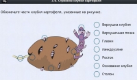 Интерактивные курсы. Биология 6 класс. Расширенный - fgospostavki.ru - Владимир