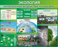 Стенд "Экология. Антропогенное воздействие на биосферу" - fgospostavki.ru - Владимир