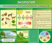 Стенд "Экология. Организация и функционирование сообществ" - fgospostavki.ru - Владимир