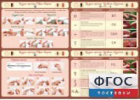 Стенд "Вязание крючком" - fgospostavki.ru - Владимир