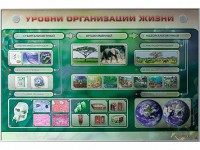 Электрифицированный стенд "Уровни организации жизни" - fgospostavki.ru - Владимир