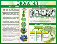 Стенд "Экология" - fgospostavki.ru - Владимир