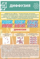 Стенд "Диффузия" - fgospostavki.ru - Владимир