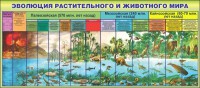 Стенд "Эволюция растительного и животного мира" - fgospostavki.ru - Владимир
