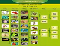 Стенд "Систематика животных" - fgospostavki.ru - Владимир
