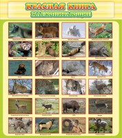 Стенд "Красная книга - млекопитающие" - fgospostavki.ru - Владимир