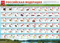 Стенд "Красная книга РФ" - fgospostavki.ru - Владимир