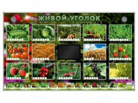 Комплект оборудования "Живой уголок" (растения) - fgospostavki.ru - Владимир