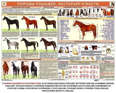 Комплект плакатов "Служебное коневодство" - fgospostavki.ru - Владимир