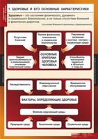 Комплект таблиц. ОБЖ. Здоровый образ жизни. - fgospostavki.ru - Владимир