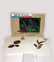 Гербарий "Дикорастущие растения" (28 видов) - fgospostavki.ru - Владимир