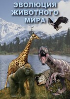 DVD "Эволюция животного мира" - fgospostavki.ru - Владимир