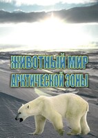 DVD "Животный мир Арктической зоны" - fgospostavki.ru - Владимир