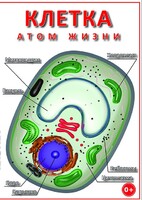 DVD "Клетка - "атом жизни" - fgospostavki.ru - Владимир