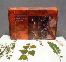 Гербарий для Начальной школы (28 видов) - fgospostavki.ru - Владимир