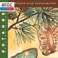 Ботаника. Микрофотографии. (Цифровая база изображений) - fgospostavki.ru - Владимир