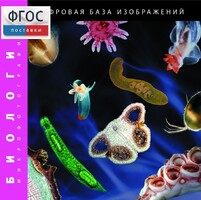 Биология. Микрофотографии. (Цифровая база изображений) - fgospostavki.ru - Владимир