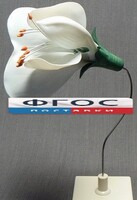 Модель "Цветок гороха" - fgospostavki.ru - Владимир