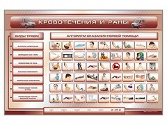 Трехсекционный базовый комплект "Травмы. Кровотечения. Ожоги" для учащихся общеобразовательных учреждений - fgospostavki.ru - Владимир