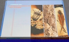 Коллекция "Палеонтологическая" (16 образцов) - fgospostavki.ru - Владимир