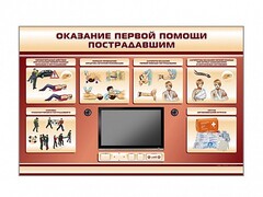 Многофункциональный интерактивный стенд-тренажер "Оказание первой помощи пострадавшим" для учащихся общеобразовательных учреждений - fgospostavki.ru - Владимир