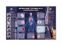 Электрифицированный стенд "Вредные привычки: наркомания" - fgospostavki.ru - Владимир