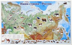 Магнитные карточки "Животные" - fgospostavki.ru - Владимир