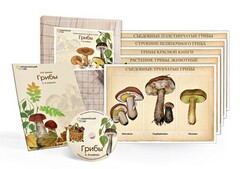 Комбинированное наглядное пособие  «Грибы» - fgospostavki.ru - Владимир