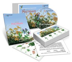 Комбинированное наглядное пособие «Растения» - fgospostavki.ru - Владимир