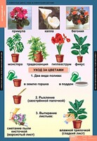 Комплект таблиц. Окружающий мир 1 класс. - fgospostavki.ru - Владимир