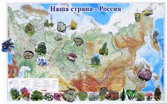 Магнитные карточки "Растения" - fgospostavki.ru - Владимир