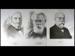 Портреты биологов (26 штук, формат А3) - fgospostavki.ru - Владимир