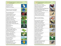Комплект карточек (10) "Обучающий калейдоскоп. Природа" - fgospostavki.ru - Владимир