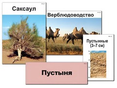 Модель-аппликация "Природные зоны России" (ламинированная) - fgospostavki.ru - Владимир
