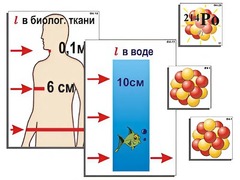 Модель-аппликация "Явление радиоактивности" (ламинированная) - fgospostavki.ru - Владимир