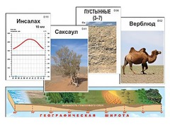 Модель-аппликация "Природные зоны" - fgospostavki.ru - Владимир