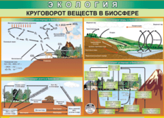 Таблица "Круговорот веществ в биосфере" (100х140 сантиметров, винил) - fgospostavki.ru - Владимир
