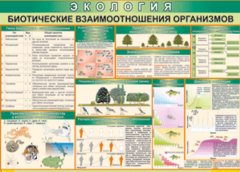 Таблица "Биотические взаимоотношения организмов" (100х140 сантиметров, винил) - fgospostavki.ru - Владимир