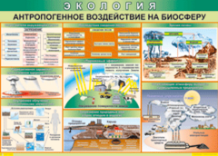 Таблица "Антропогенное воздействие на биосферу" (100х140 сантиметров, винил) - fgospostavki.ru - Владимир