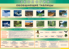 Таблица "Экология. Обобщающие таблицы" (100х140 сантиметров, винил) - fgospostavki.ru - Владимир