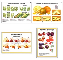 Плакаты ПРОФТЕХ "Ассортимент овощных культур" (12 пл, винил, 70х100) - fgospostavki.ru - Владимир