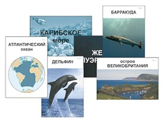 Модель-аппликация "Океаны. Знакомство" (ламинированная) - fgospostavki.ru - Владимир