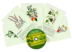 Интерактивный наглядный комплекс "Гербарий "Для начальной школы" - fgospostavki.ru - Владимир